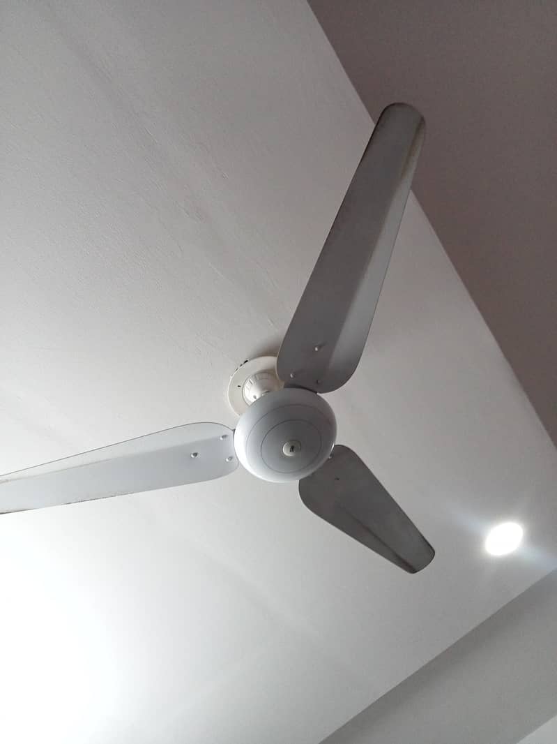 SK fan 1