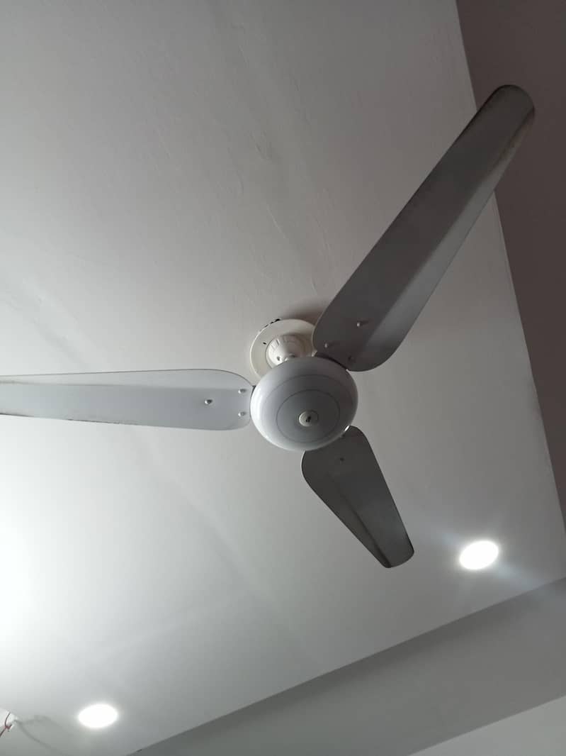 SK fan 2