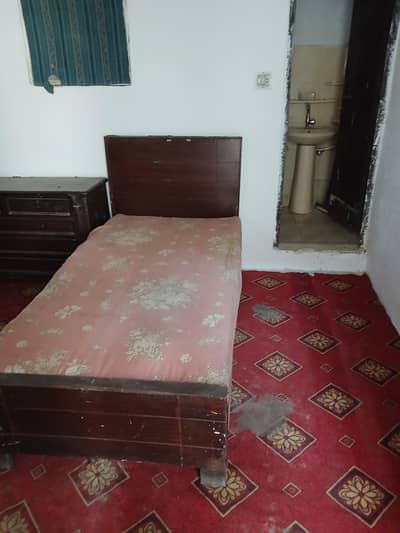 rooms for rent