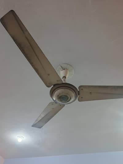 Ceiling fan - AC Fans Traditional GFC