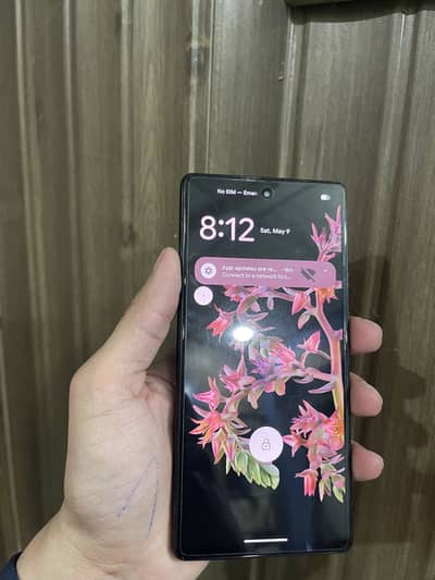 Pixel 6 Dual pta