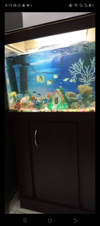 Fish Aquarium