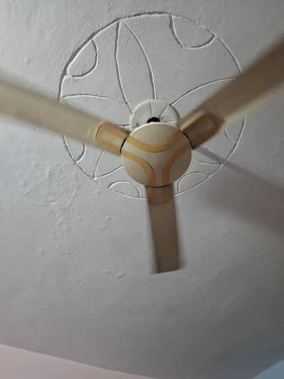 AC ceiling fan 2 GFC Full Copper Wire