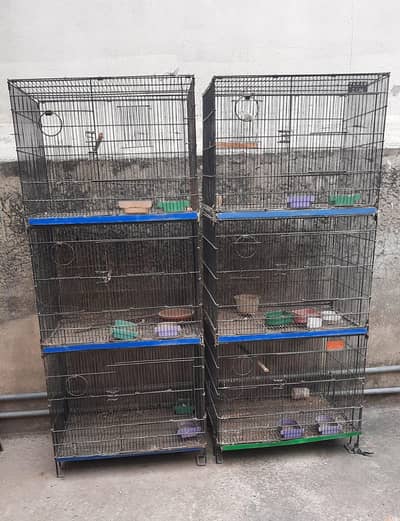 6 portion cage