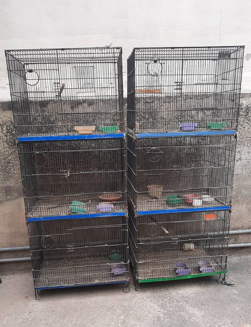 6 portion cage 0