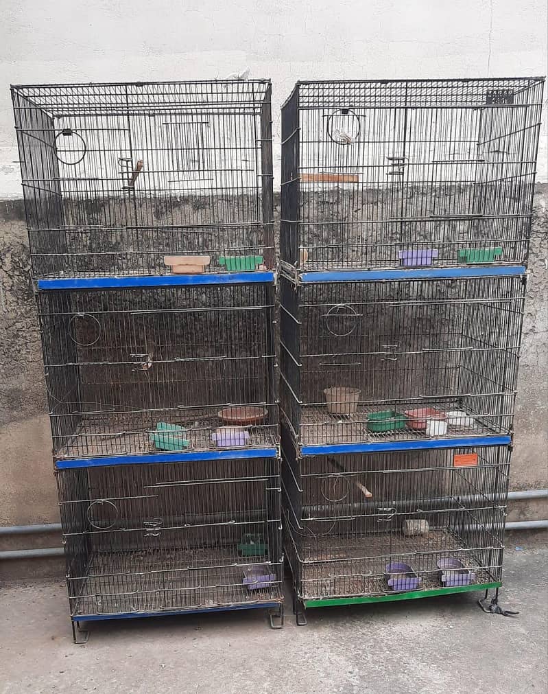 6 portion cage 1