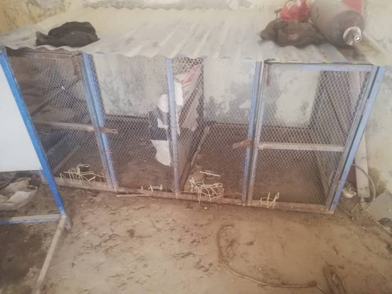 Hen cage 1