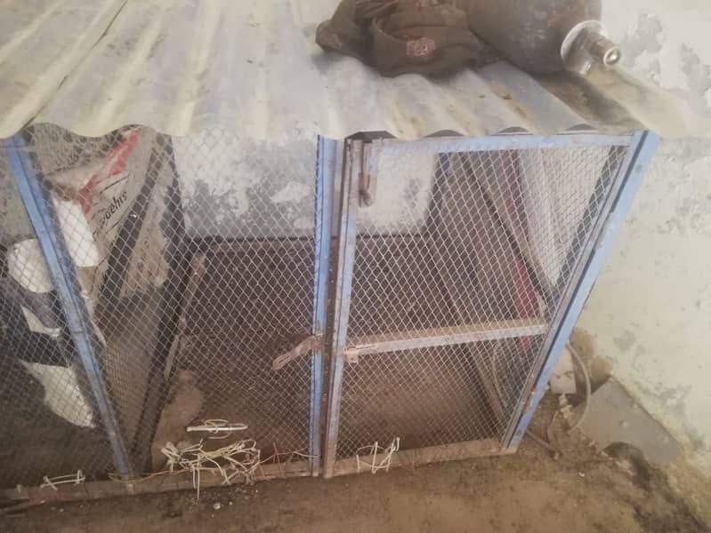 Hen cage 3
