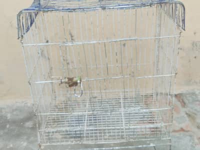 cage 500 rupy mien