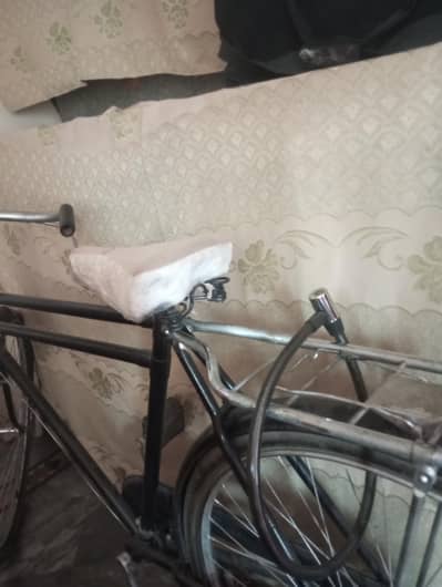 China cycle