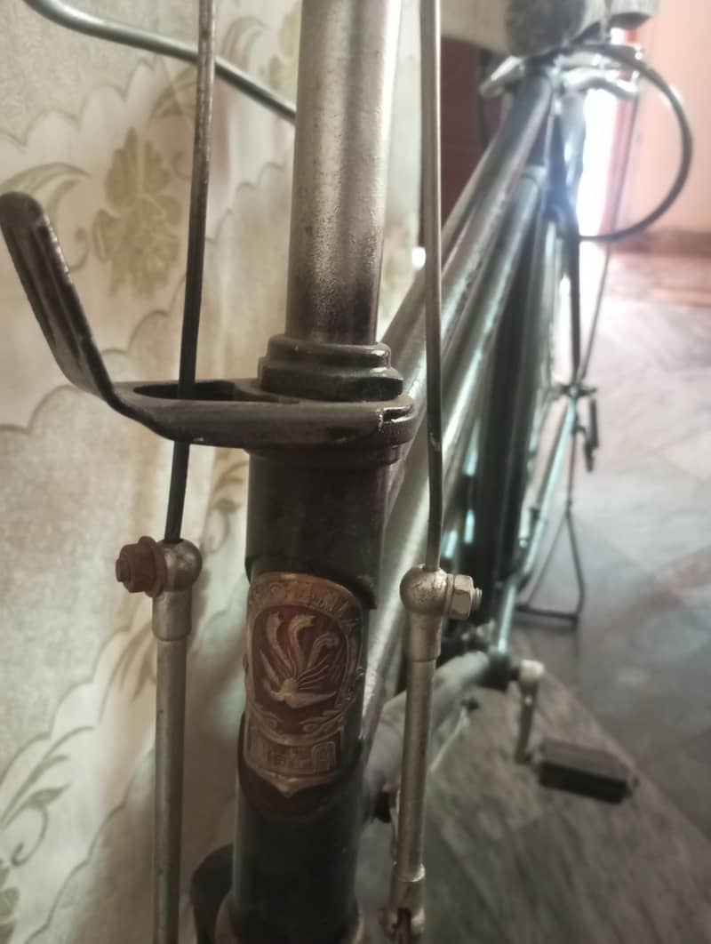 China cycle 2