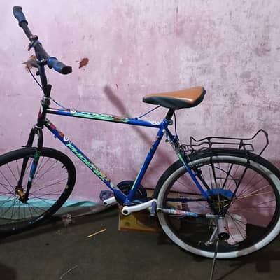 “Modified Hero Cycle Excellent Condition”