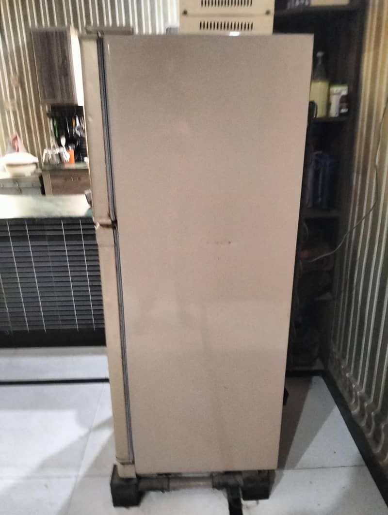 Medium size fridge 2
