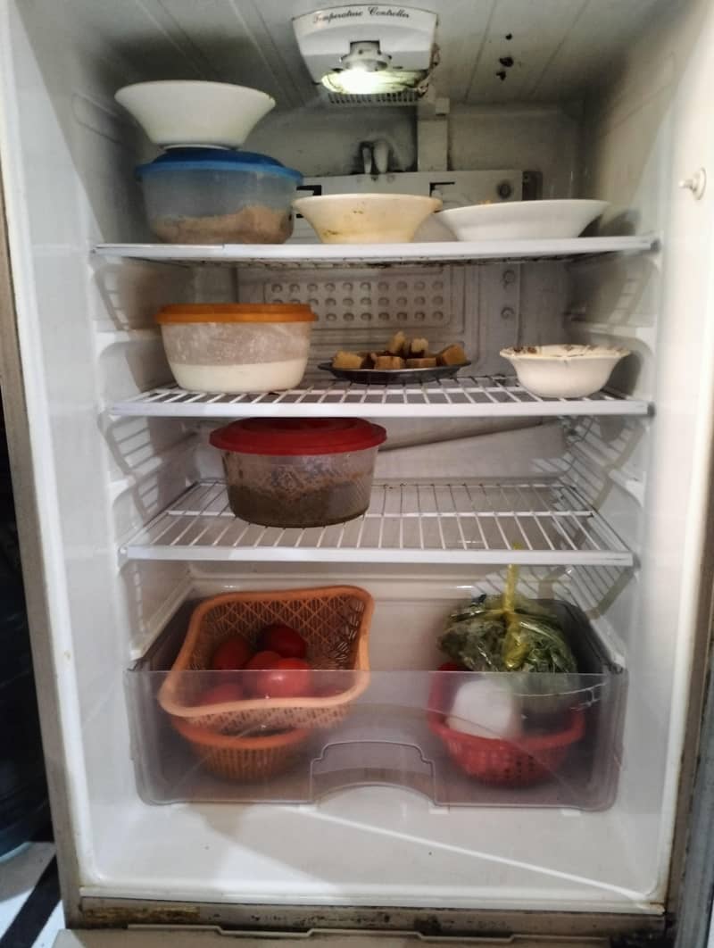 Medium size fridge 7