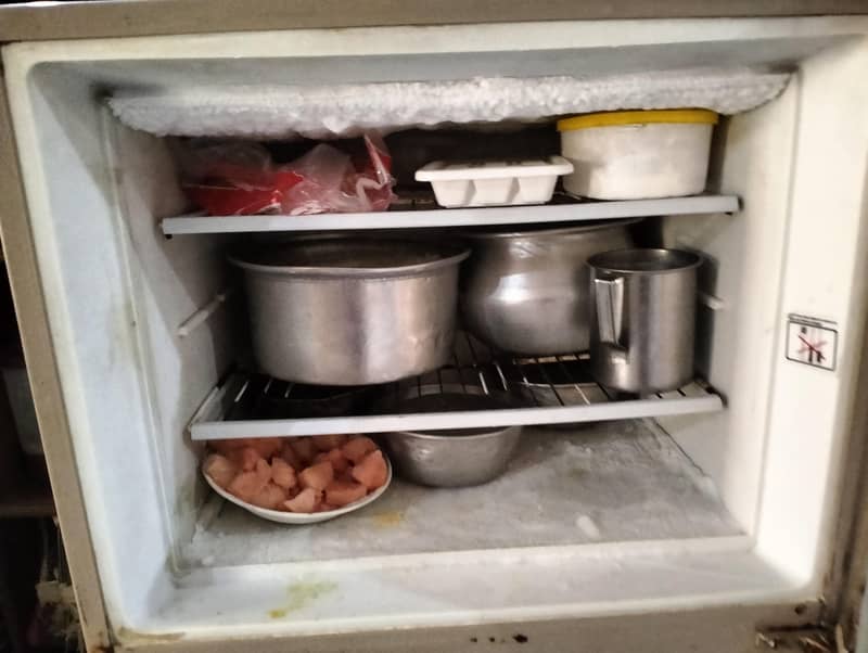 Medium size fridge 8