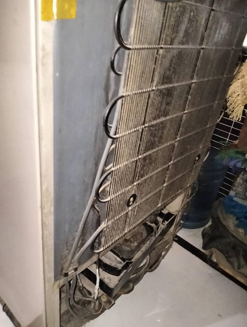 Medium size fridge 10