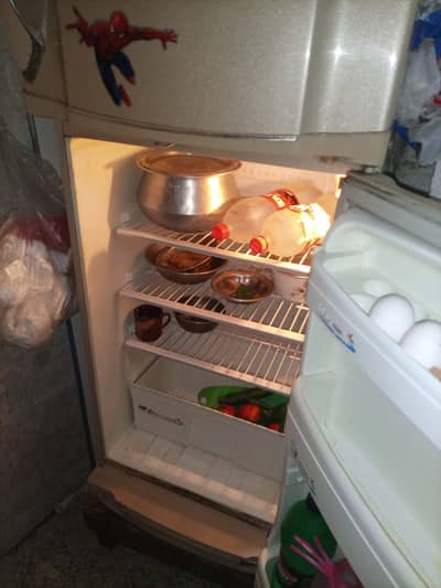 Fridge - Refrigerator