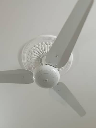 SK ceiling fan