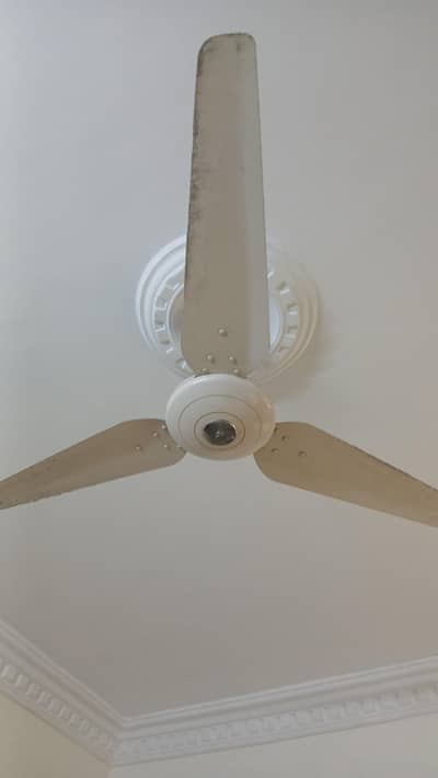 millat cieling fan