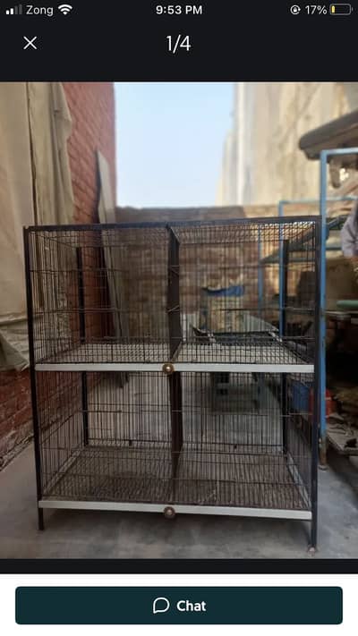 Cage with 6 chiks age 2 month 8000
