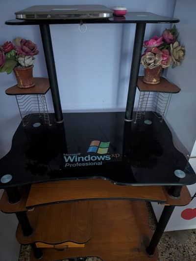 Computer Trolly