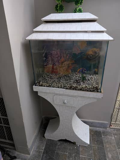 2ft aquarium