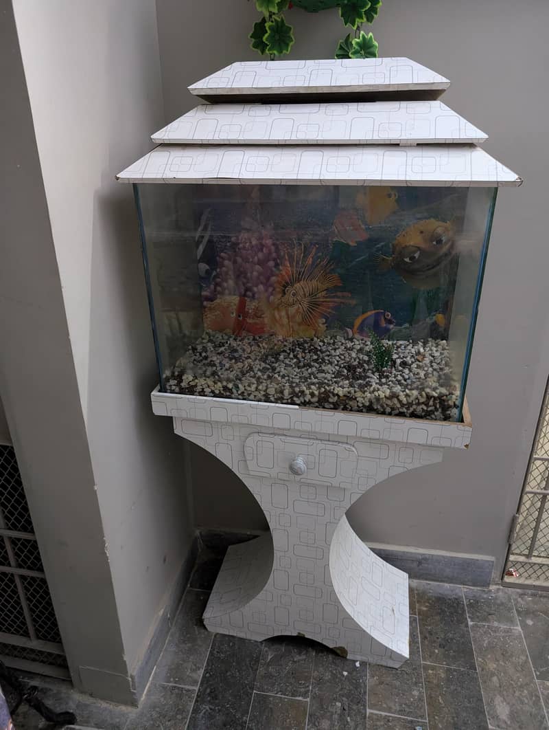 2ft aquarium 0