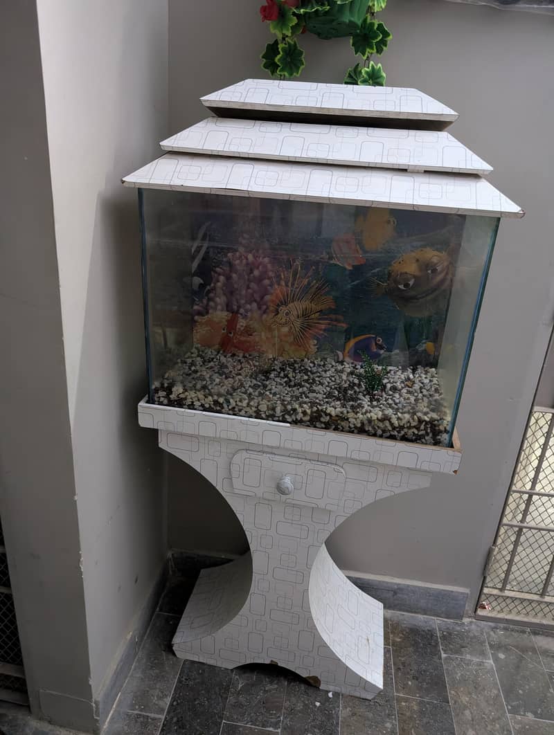 2ft aquarium 1