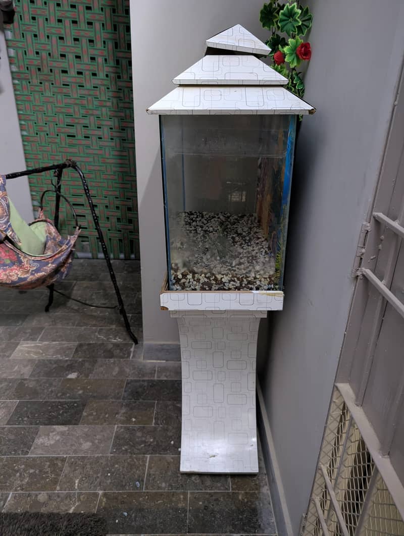 2ft aquarium 2