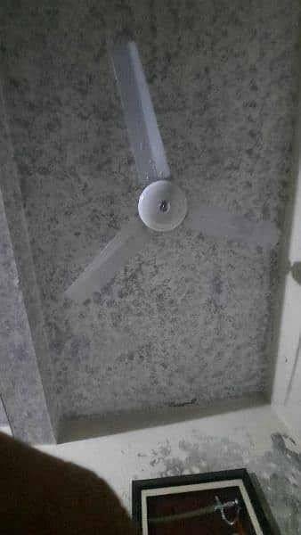 Ceiling Fan for Sale