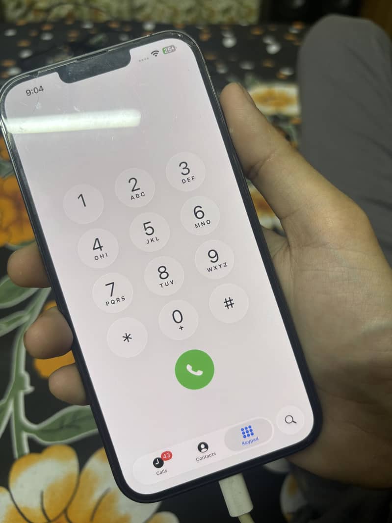 Iphone 13 pro max 1