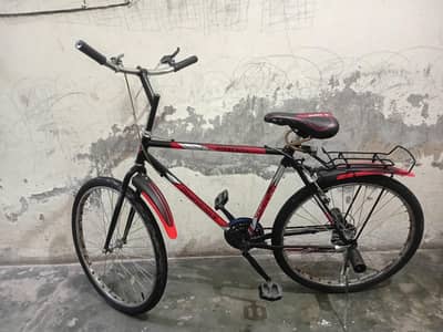 Phoniex Bicycle jeniun.