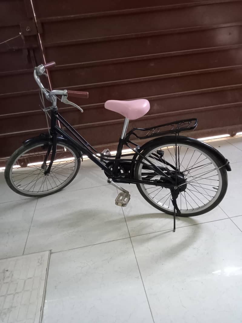 10/10 condection Japan cycle 2