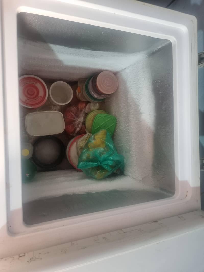 pel deep freezer 1