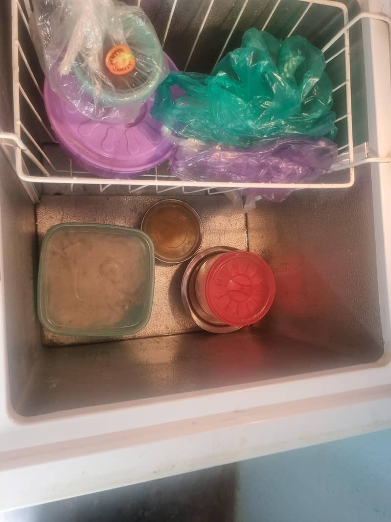 pel deep freezer 3