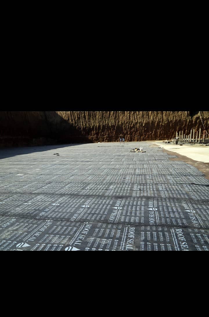 Membrane sheet 2