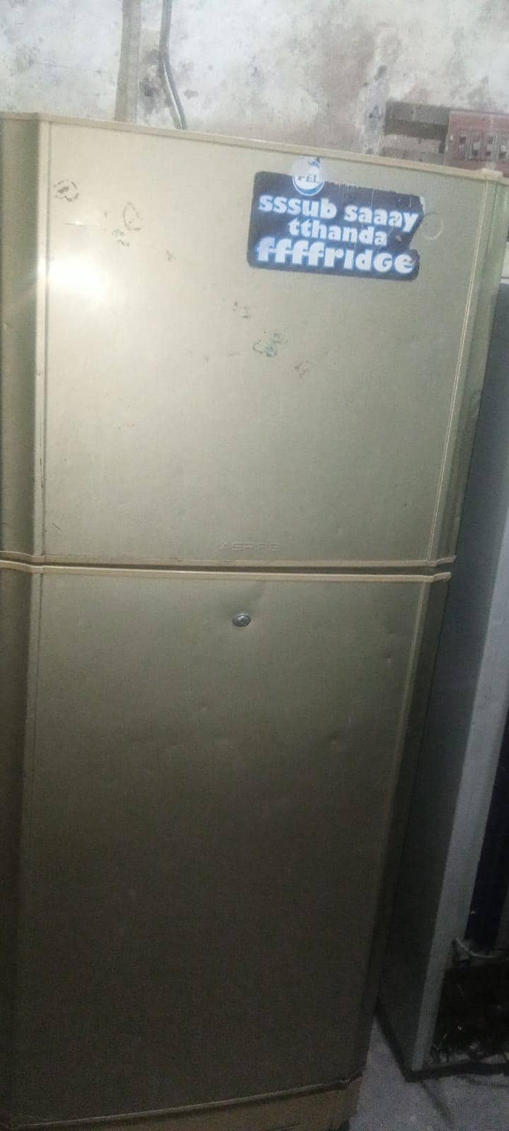 pell full Size fridge 2
