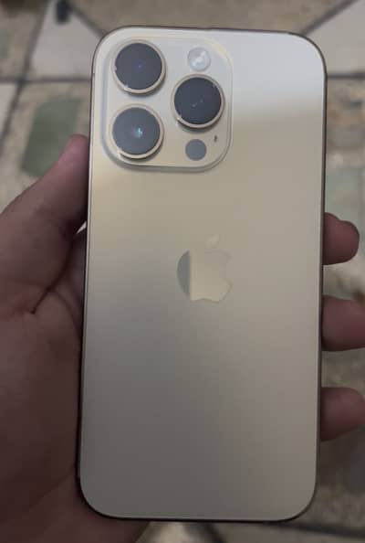 14 pro dual PTA