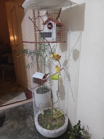 Beautifull Piece Cage for Paroots