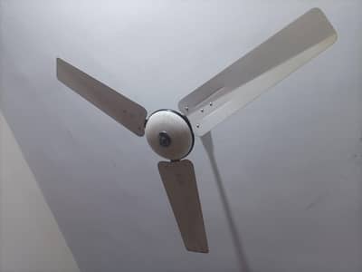  For Sale: 4 PAK Fan Ceiling Fans (56 Inch)