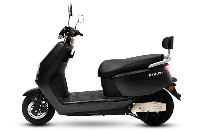 Crown firefly 1
