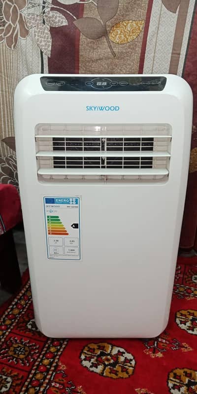 Skywood 1.0 Ton Portable AC IN New Condition