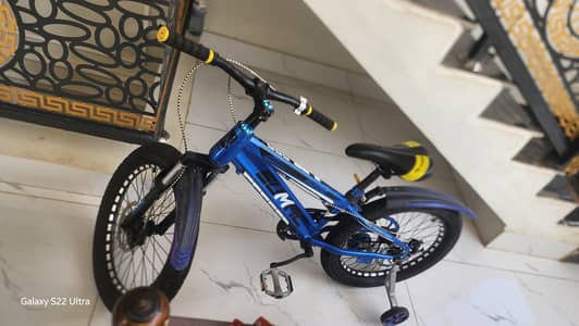 sumac cycle in excellent condition