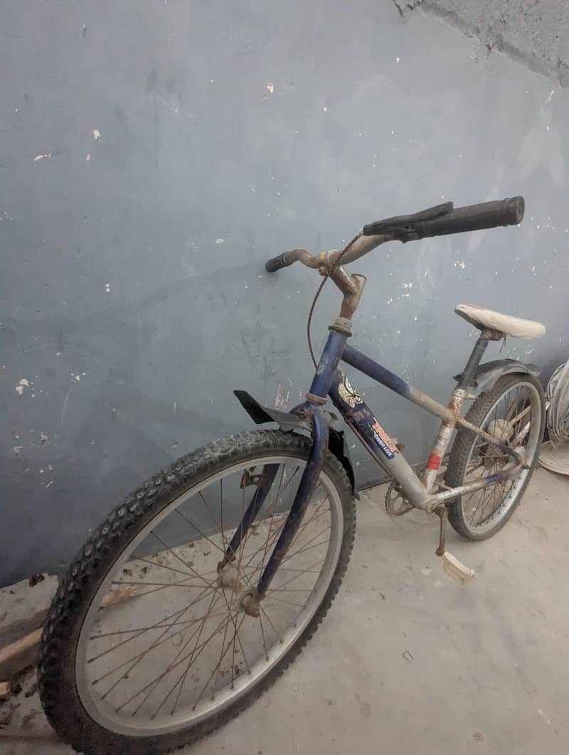 bycycle 1