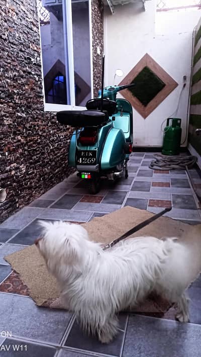 vespa