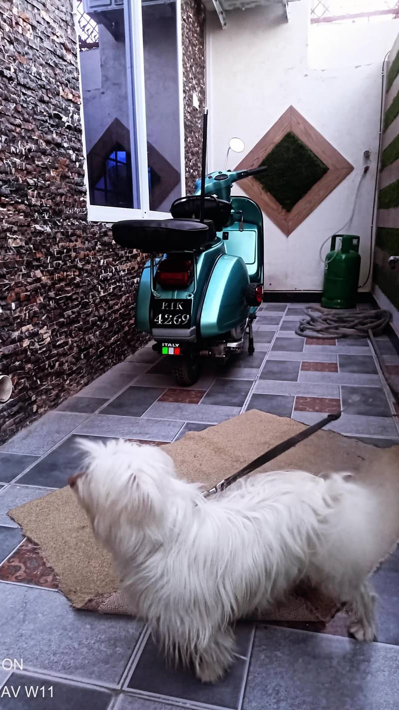 vespa 0