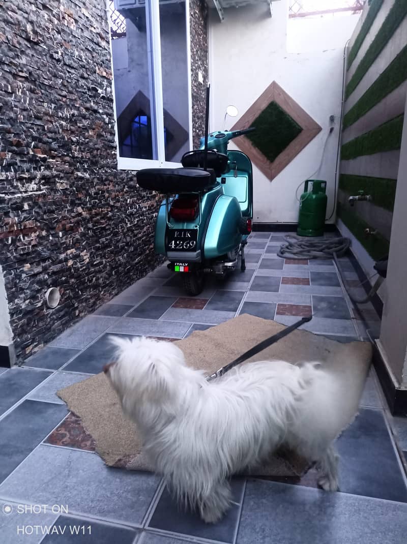 vespa 4