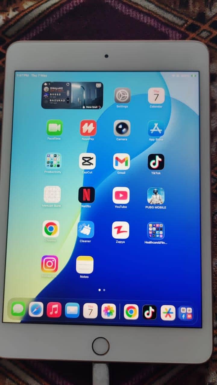 IPAD MINI 5 0
