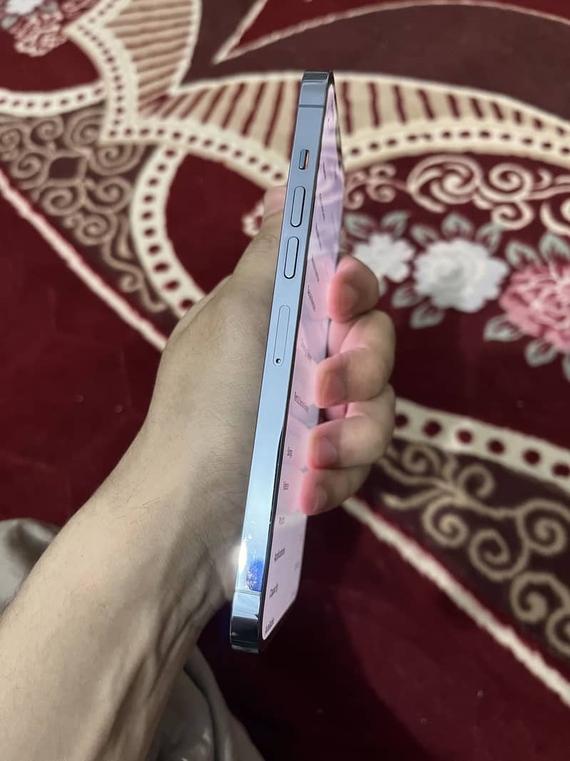 iPhone 13 Pro Max 2