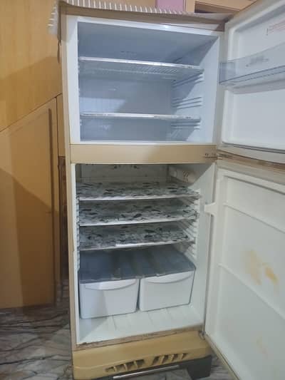 pel fridge for sale